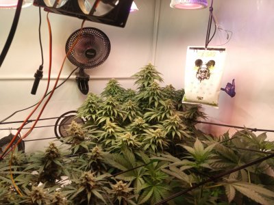 2024-05-24 133912.jpg