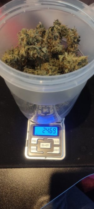 WhatsApp Image 2024-05-24 at 18.36.49.jpeg