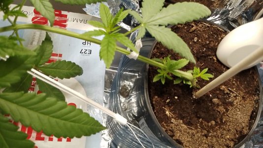 photo_2024-05-26_16-44-53.jpg photo_2024-05-26_16-44-53.jpg