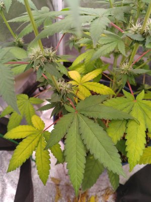 1000006307.jpg 1000006307.jpg