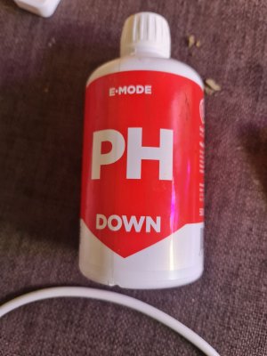 photo_5269701186456510933_y.jpg photo_5269701186456510933_y.jpg