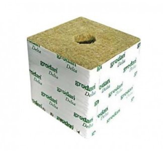 Снимок экрана_1-8-2024_141654_homeharvest.ru.jpeg