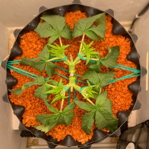 FullSizeRender (5).jpg