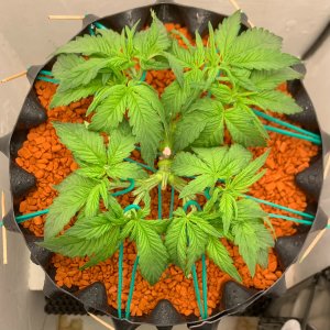 FullSizeRender (6).jpg