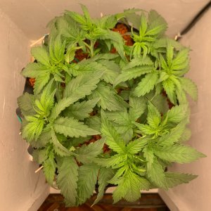 FullSizeRender (7).jpg