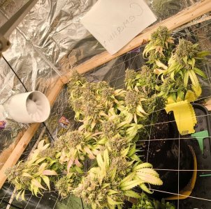 5240195237874359866 (1).jpg